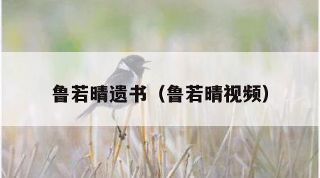 鲁若晴遗书（鲁若晴视频）