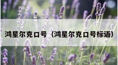 鸿星尔克口号（鸿星尔克口号标语）