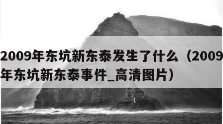 2009年东坑新东泰发生了什么（2009年东坑新东泰事件_高清图片）