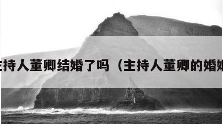 主持人董卿结婚了吗（主持人董卿的婚姻）