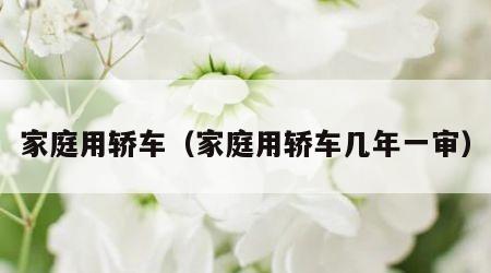 家庭用轿车（家庭用轿车几年一审）