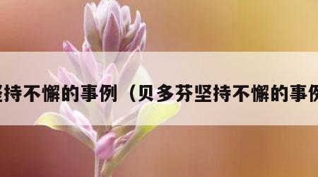 坚持不懈的事例（贝多芬坚持不懈的事例）