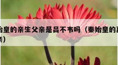 秦始皇的亲生父亲是吕不韦吗（秦始皇的真正父亲）