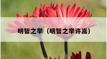 明智之举（明智之举许嵩）