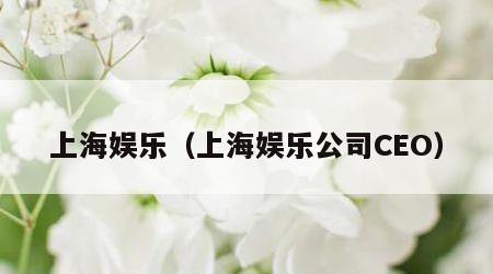 上海娱乐（上海娱乐公司CEO）