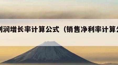 净利润增长率计算公式（销售净利率计算公式）