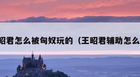 王昭君怎么被匈奴玩的（王昭君辅助怎么玩）