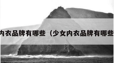 内衣品牌有哪些（少女内衣品牌有哪些）