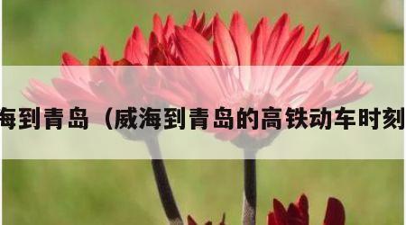 威海到青岛（威海到青岛的高铁动车时刻表）